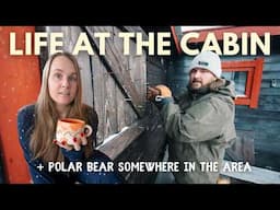 A Day at the off-grid CABIN (+ Polar Bear somewhere in the area) ︱ Svalbard