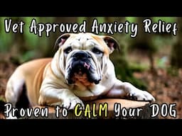 This Calming Video Relaxed My Dog in Seconds - Scientifically Backed
