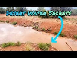 Growing A Desert Food Forest With Rainwater Harvesting