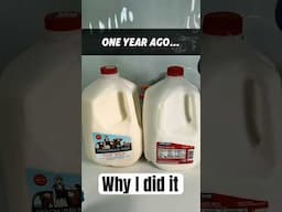 Raw milk and pasteurized milk after 1 year—why I did it.