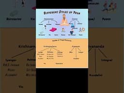 The Different Styles of Yoga