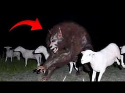 This Farmer Discovered Something Weird On His Corn Field