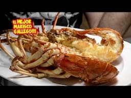 probé EL MEJOR MARISCO GALLEGO $$$ + 180 €