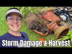 🌧️ Post-Storm Garden Cleanup | Yarrow Harvest, Pruning Smokebush & Storm-Damaged Redbud