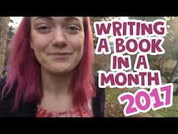 Writing a Book in a Month (2017)