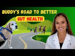 Nothing Was Working for Her Dog’s Gut Problems… Until This!