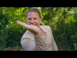 The Secret Life Of Bees | Catching the dreaded Asian hornet | Channel 5