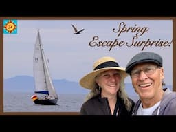 What a Surprise! | Spring Escape in Our Mercedes Sprinter 4x4 Camper Van