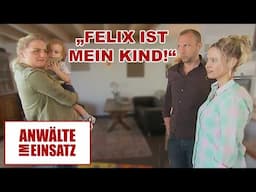 „Ich will mein Kind zurück!“ Kim kämpft um ihren Sohn! |1/2| Anwälte im Einsatz | SAT.1