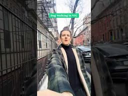 Follow along as Cole, a Rover dog walker, navigates the NYC streets with Daisy. Could you keep up?
