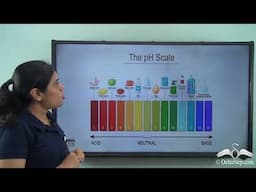 How Strong are Acid or Base Solutions?