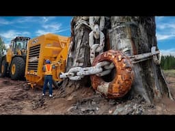 World's Largest Land Vehicles And Heaviest Equipment Ever Made !