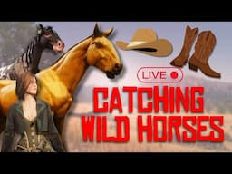 CATCHING WILD HORSES 🔴 RedM Ranch RP
