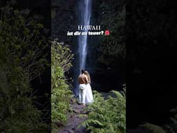 Hawaii ist dir zu teuer? Dann besuche stattdessen diese Insel 🌺 #madeira