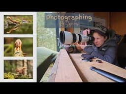 Photographing Red Squirrels in an enchanted woodland ❤️📷