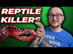 5 Bad Habits That Will Kill Your Reptiles