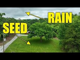 Best Time to Seed Your Lawns and Food Plots