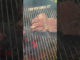 Grilled Steak #steak #beef #steakdinner #foodshorts #grilling #grilledsteak #whatsfordinner #cookout