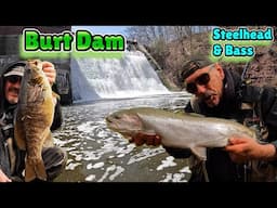 Burt Dam - Spring Steelhead & Massive Smallmouth Bass