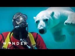 Explorers vs. The Arctic: Surviving the Most Inhospitable Place