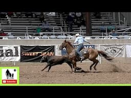 Open Steer Roping 3rd Go Part 2🐂 2024 Spicer Gripp Memorial Roping