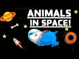 ANIMALS IN SPACE Meet the Craziest Space Explorers
