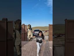 Elif KAÇ! arkanda Dinazor var! 😱🤣🌈✅🦖❤️💚💜
