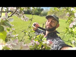 SPRING STREAM: I Took 12 Days Off & Now I’m Giving Breakup Advice - Jordan Thornton Live Q&A