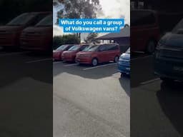 Only way to call a bunch of ​⁠@volkswagenaustralia vans 😂😂
