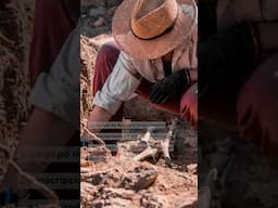 Hallan mensajes ocultos en el sitio de la Última Cena #HistoryNoticias #shorts
