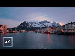 Henningsvær, Norway at Dawn | Peaceful Harbour Ambience ASMR