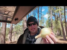 The Hobo Burger in the Wild Goes Wrong