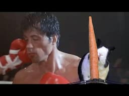 Rabbit pumps you up or calms you down. You decide.