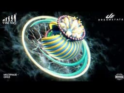 Dreamstate Radio By Vini Vici - 081