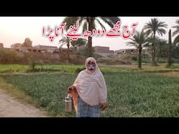 A jj Mujhay Khud Doodh Lainay Jana Para | Village Family Vlog | Daily Life style | Aayat Vlog
