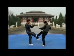 30 Sanda Techniques To Try In Your Kickboxing, Muay Thai, MMA