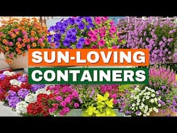 Top 7 Container Plants That THRIVE in Full Sun! ☀️ CONTAINER GARDENING