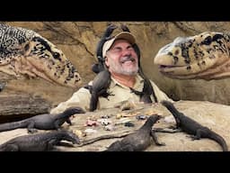 3 Wild Monitor Lizards Go CRAZY for a Mukbang! 😳🐊