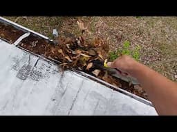 Rooftop Gardening...NOT!