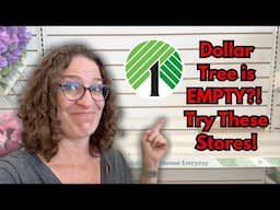 5 Best Stores to Shop When Dollar Tree is Empty! Hidden Deals & Alternatives