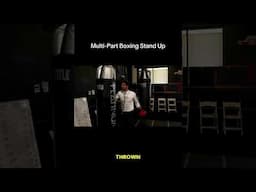 Boxing Multi-Sport Stand Up