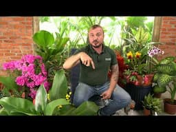 PROSA & PLANTA COM MURILO SOARES I EPISÓDIO#012