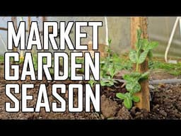 Watch What Happens When Spring Arrives at Our Farm!
