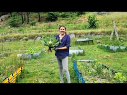 Our Homestead Garden - Learning from last year's mistakes