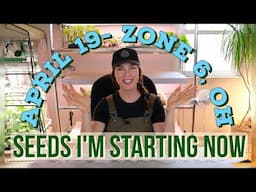 Veg, Herb & Flower Seeds to Sow in April- Zone 6