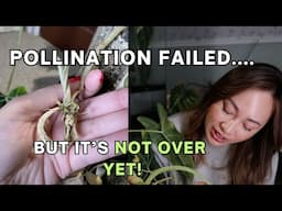 When Pollination Fails... What’s Next?