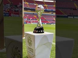 ¿Quién se queda con esta belleza?