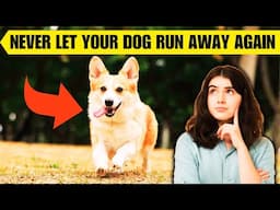 STOP Your Dog from Running Away! 🐶 | Easy Training Tips That Work!