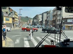 4K Bus tour of Kyoto City an excellent experience to Kyoto's major sites | Kyoto City Tour 2025
