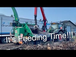 Video Diary on the Farm No.151